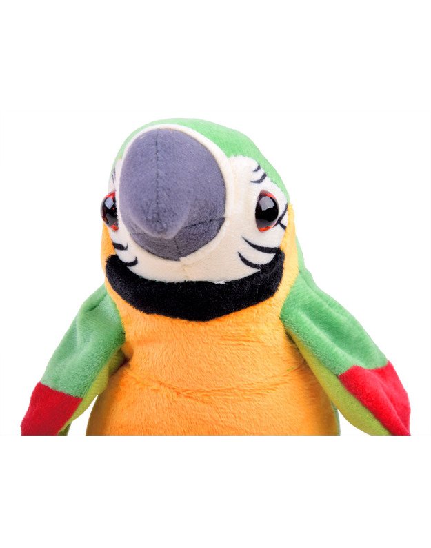 The prattler parrot repeats saying reptile words ZA3887