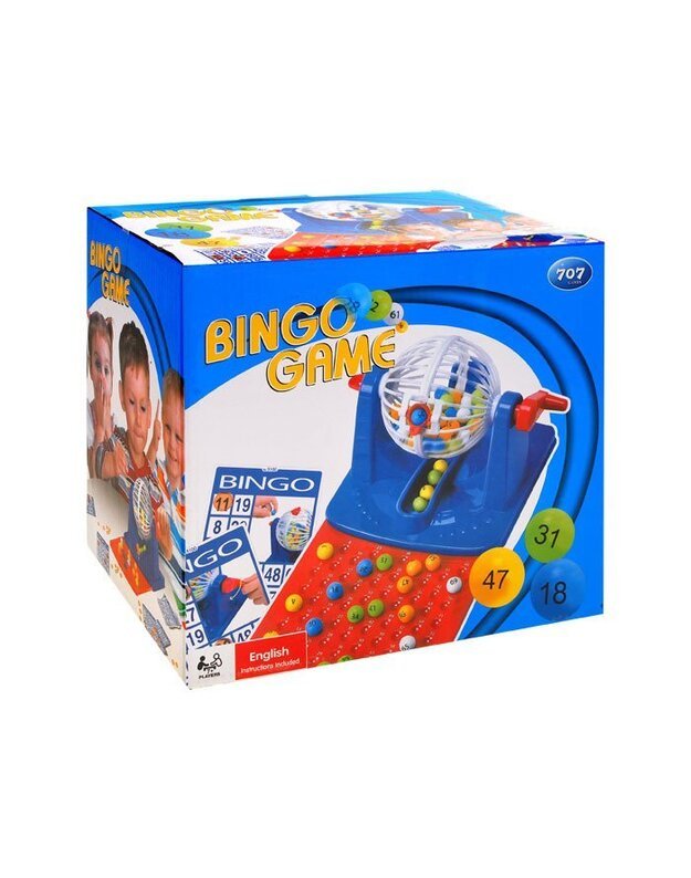 BINGO Educational Numerical Family Game GR0251