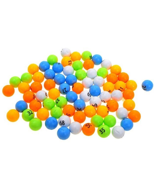 BINGO Educational Numerical Family Game GR0251