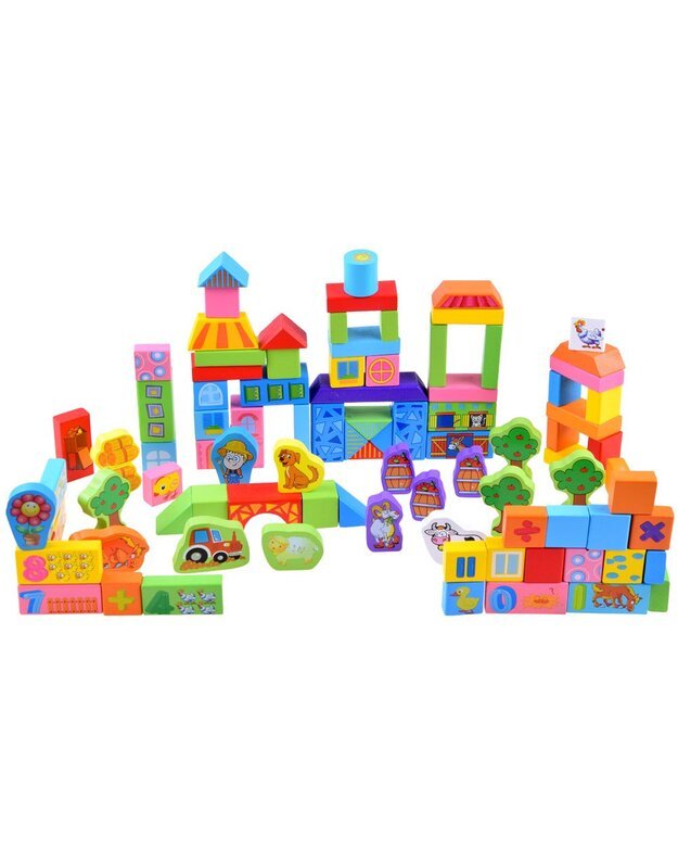 Colorful Wooden blocks sorter farm 100e ZA3565