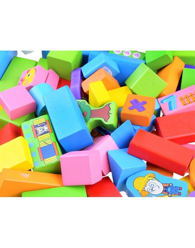 Colorful Wooden blocks sorter farm 100e ZA3565