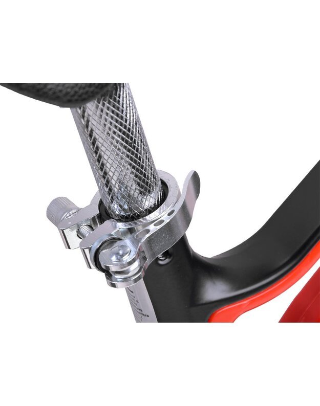 Balansinis dviratis Tiny Bike 10 - raudonas