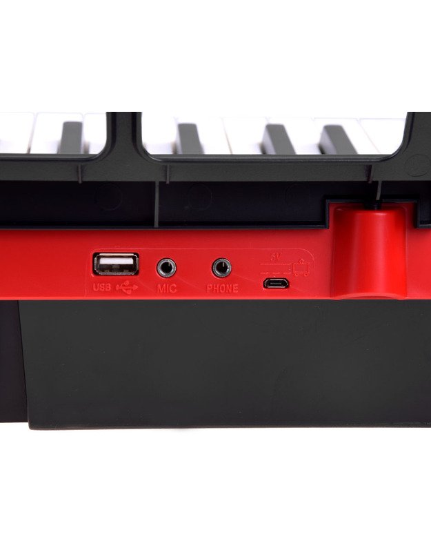 Vaikiškas pianinas su 61 klavišu + mikrofonas