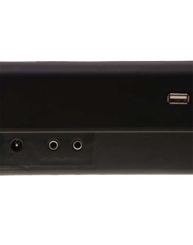 MQ-809 sintezatorius + USB įvestis