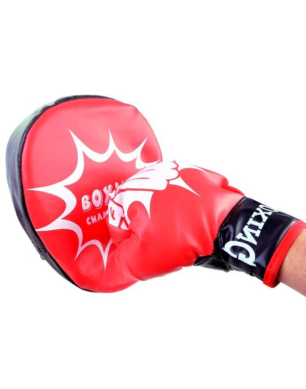 Boxing Gloves. Boxing training set SP0638