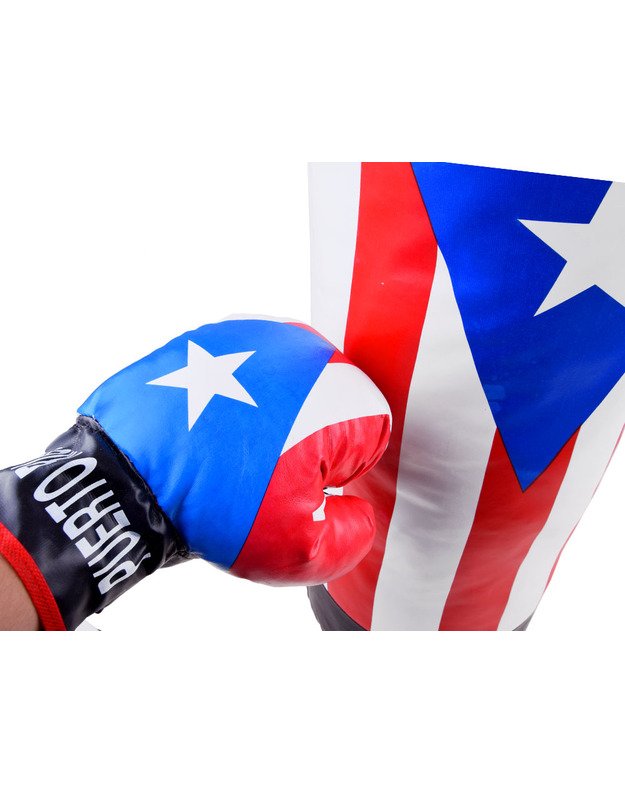 Bokso komplektas - bokso maišas + pirštinės