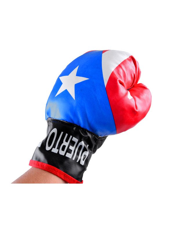 Bokso komplektas - bokso maišas + pirštinės