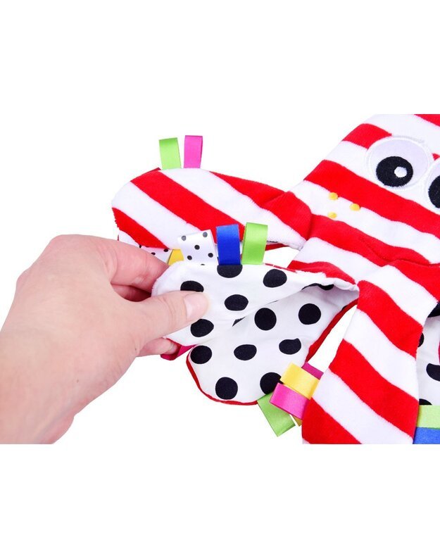 Spalvingas mielas ošiantis aštunkojis