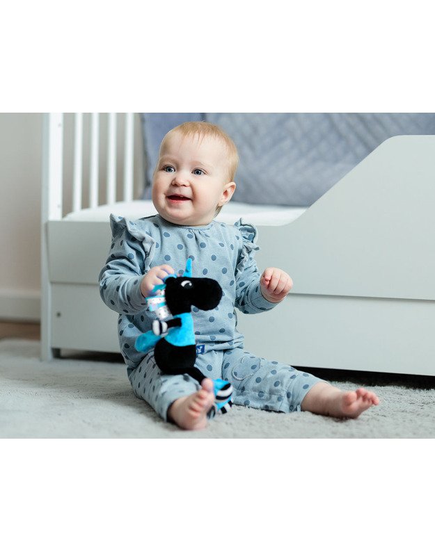 Kontrastingas vienaragis - mėlynas