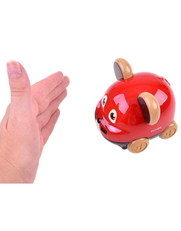 Radijo bangomis valdoma Interaktyvi pėlytė