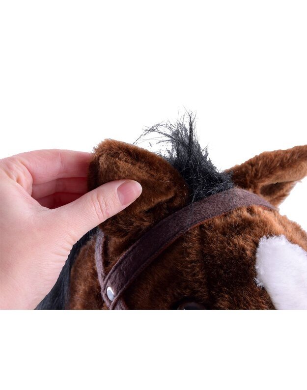 Didelis supamasis arkliukas - tamsus