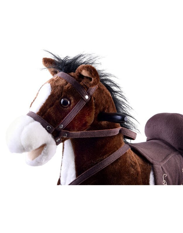 Didelis supamasis arkliukas - tamsus