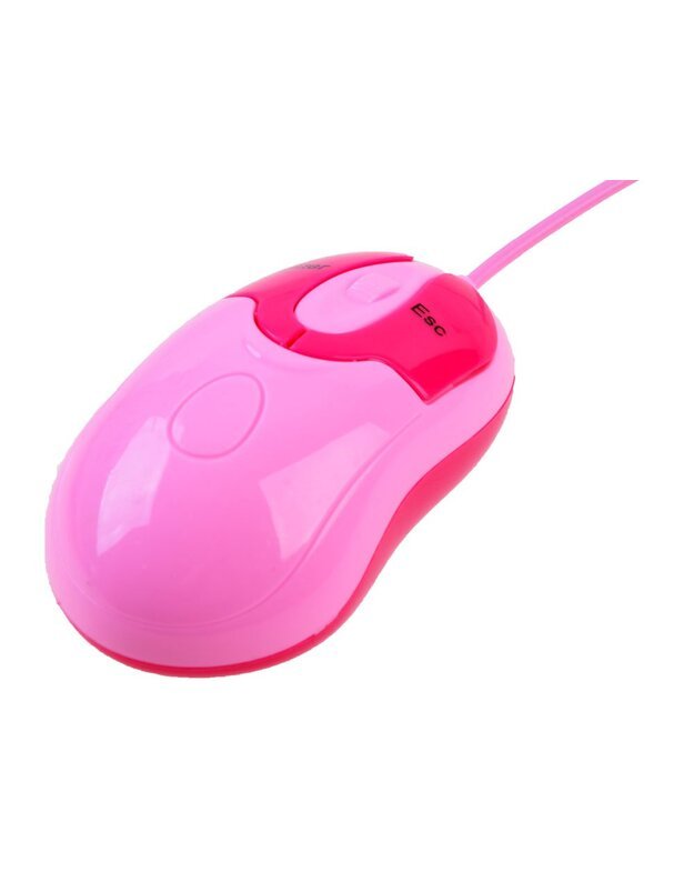 Mokomasis nešiojamasis kompiuteris lenkų-anglų 65 funkcijos - rožinė