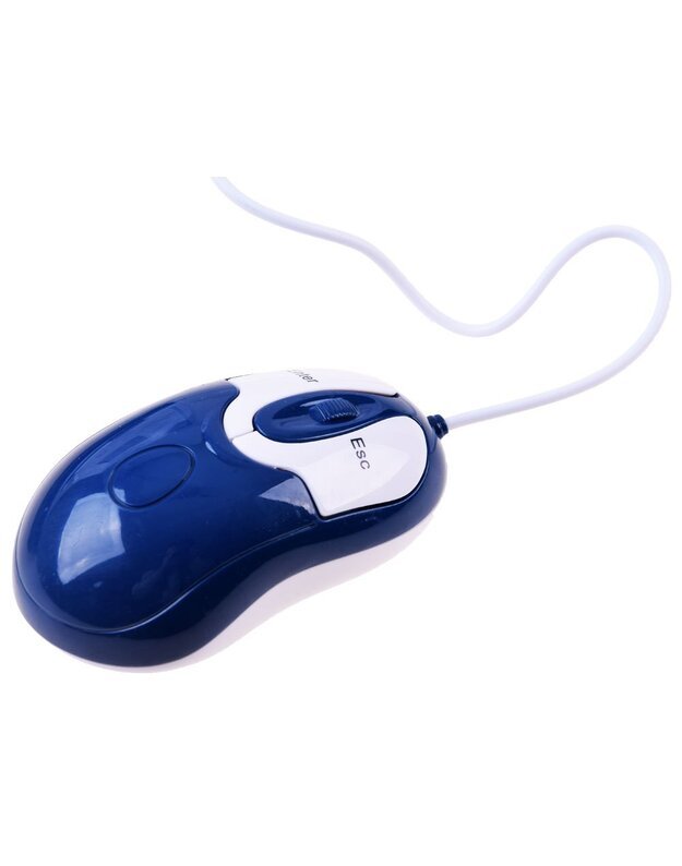 Mokomasis nešiojamasis kompiuteris lenkų-anglų 65 funkcijos - mėlynas