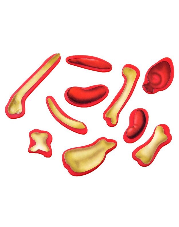 Electronic game Young veterinarian GR0336