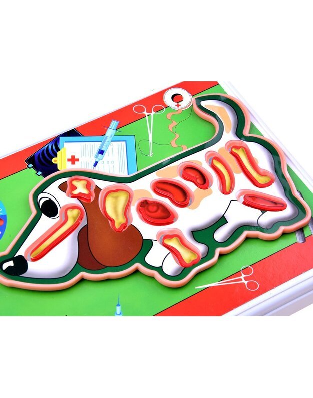 Electronic game Young veterinarian GR0336