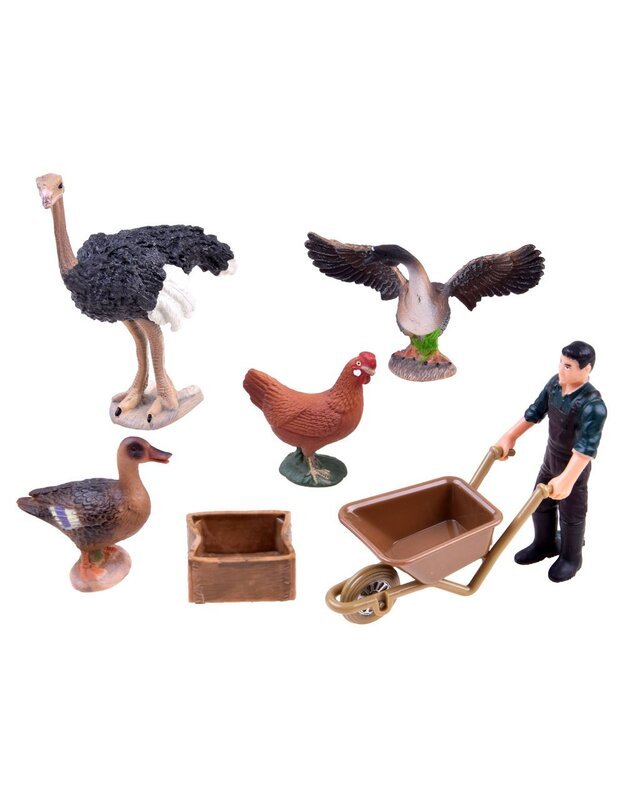 Gyvūnų figūrėlių rinkinys - višta, strutis ir kt.