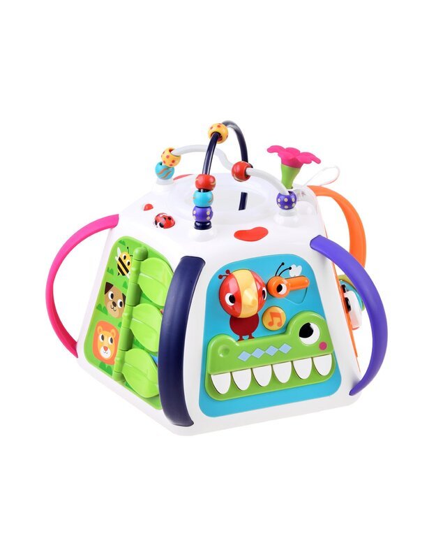 Hola Interaktyvi edukacinė piramidė