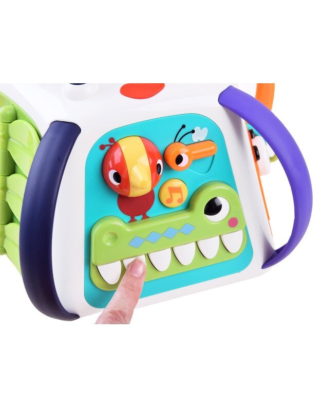 Hola Interaktyvi edukacinė piramidė