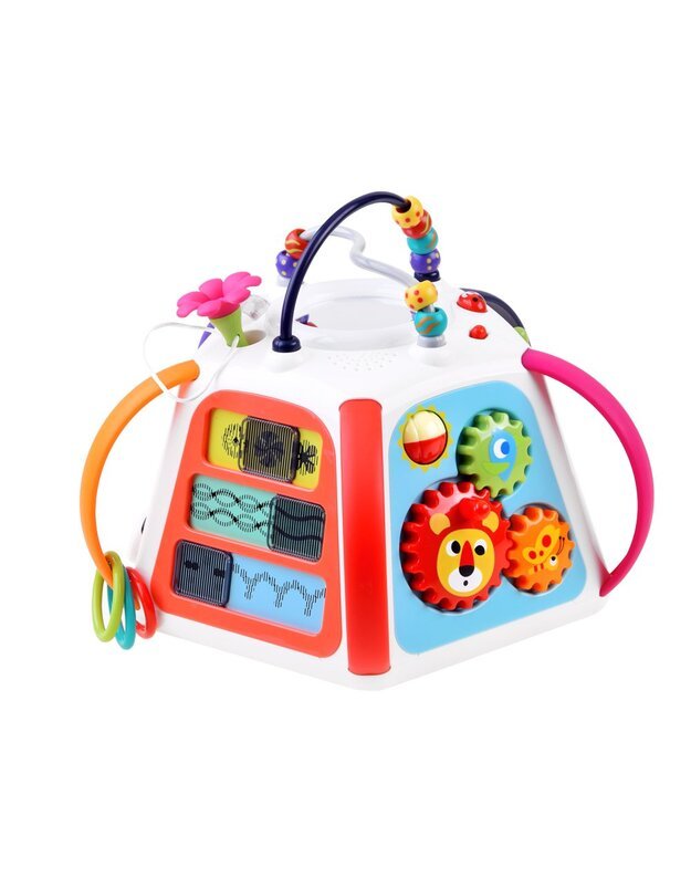 Hola Interaktyvi edukacinė piramidė