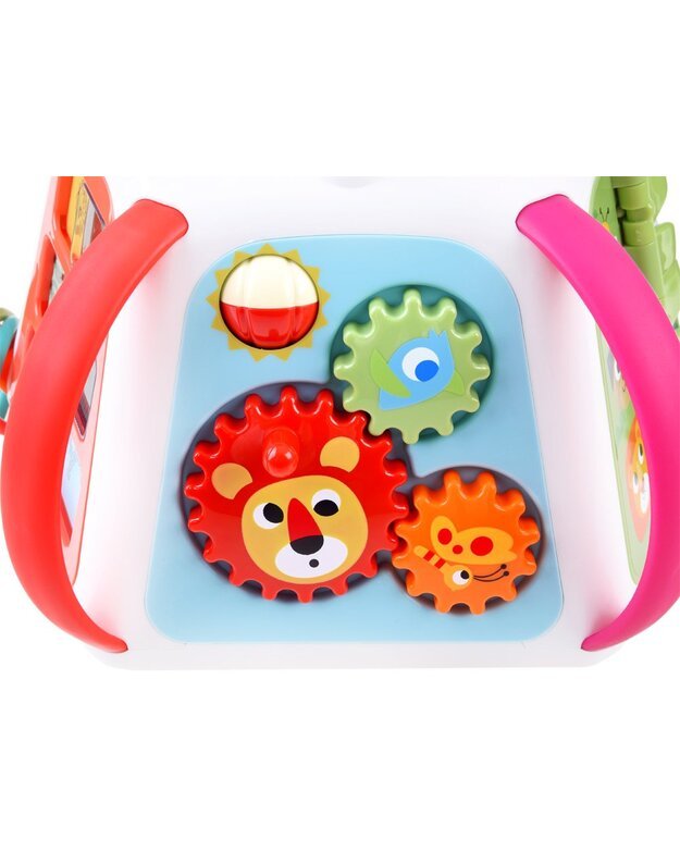 Hola Interaktyvi edukacinė piramidė