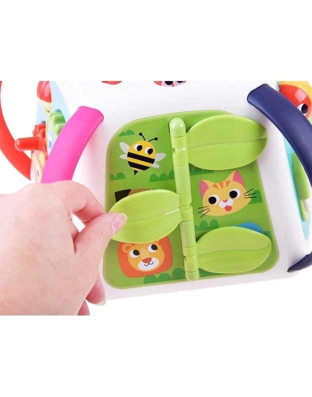 Hola Interaktyvi edukacinė piramidė