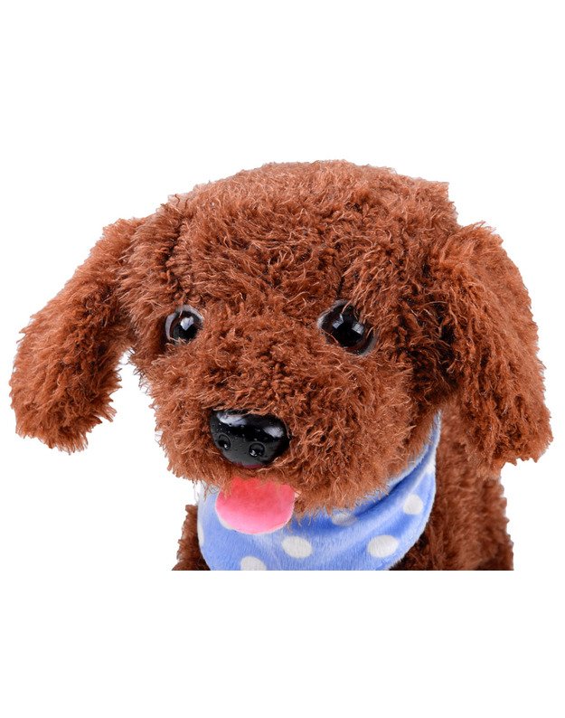 Interaktyvus mielas šuo - rudas