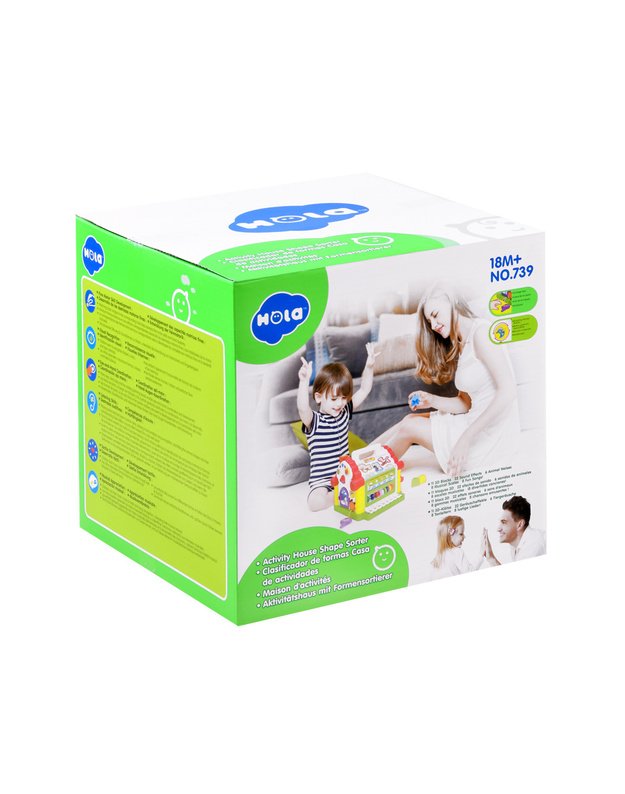 Interaktyvus edukacinis namelis su detalėmis