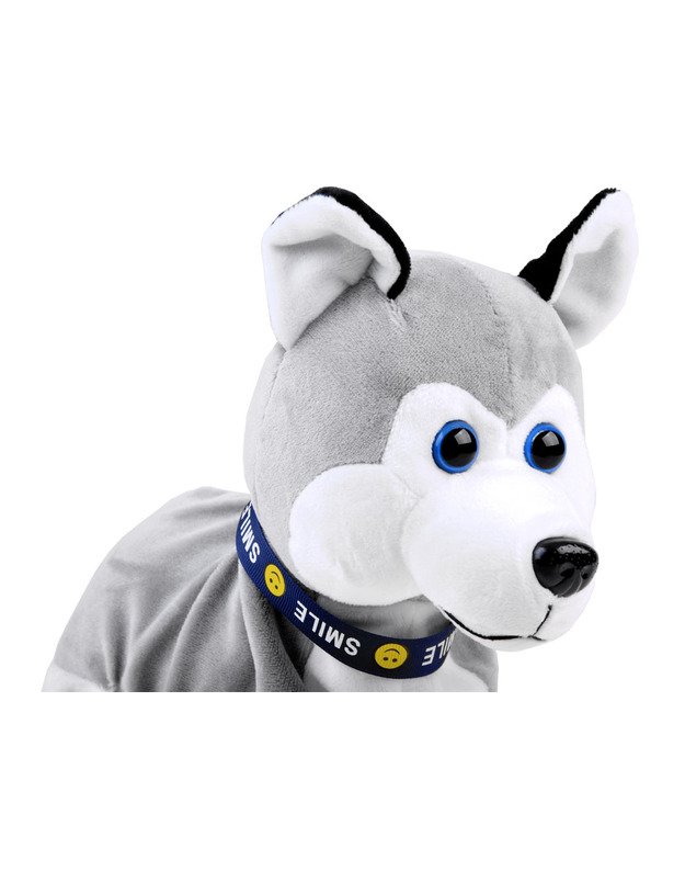 Interaktyvus haskių veislės šuniukas 