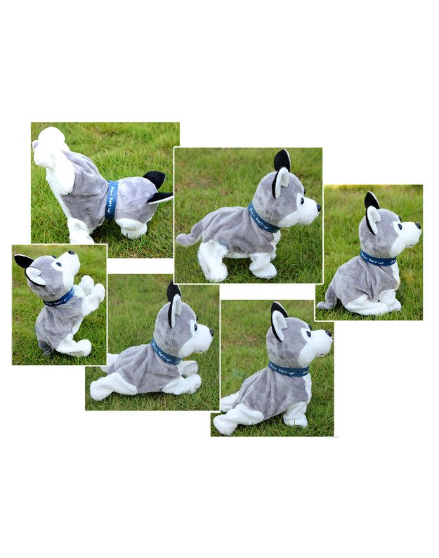 Interaktyvus haskių veislės šuniukas 