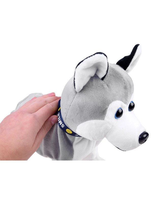 Interaktyvus haskių veislės šuniukas 