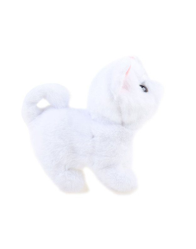 Interaktyvus kačiukas