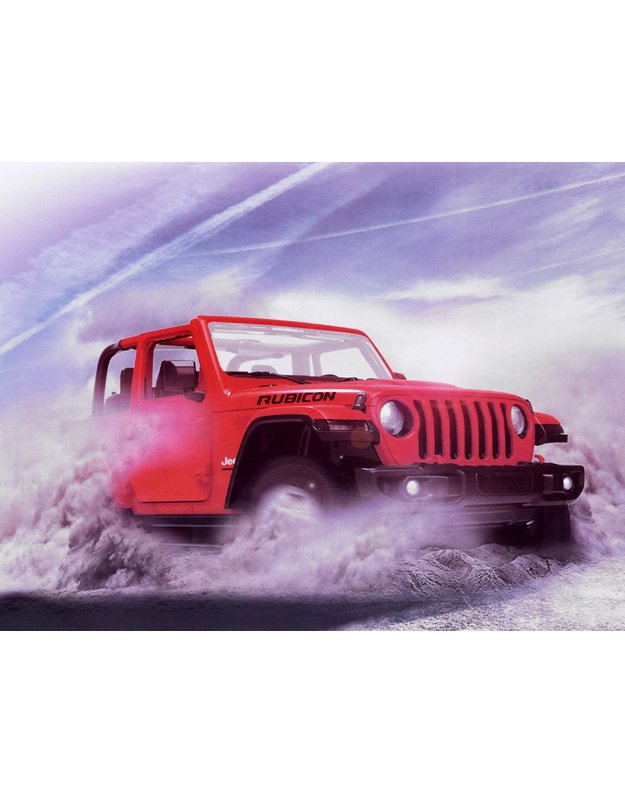 Jeep RUBICON visureigis RASTAR + nuotolinio valdymo pultas