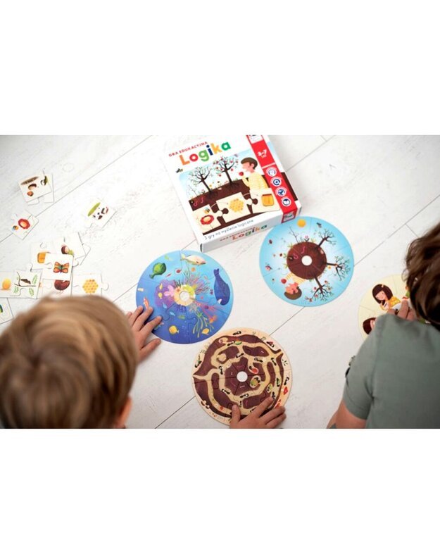 Mokomasis žaidimas „Logika“