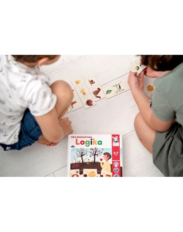 Mokomasis žaidimas „Logika“
