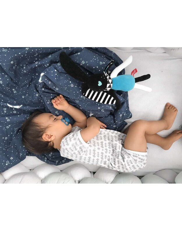 Mielas ošiantis zuikis - mėlynas