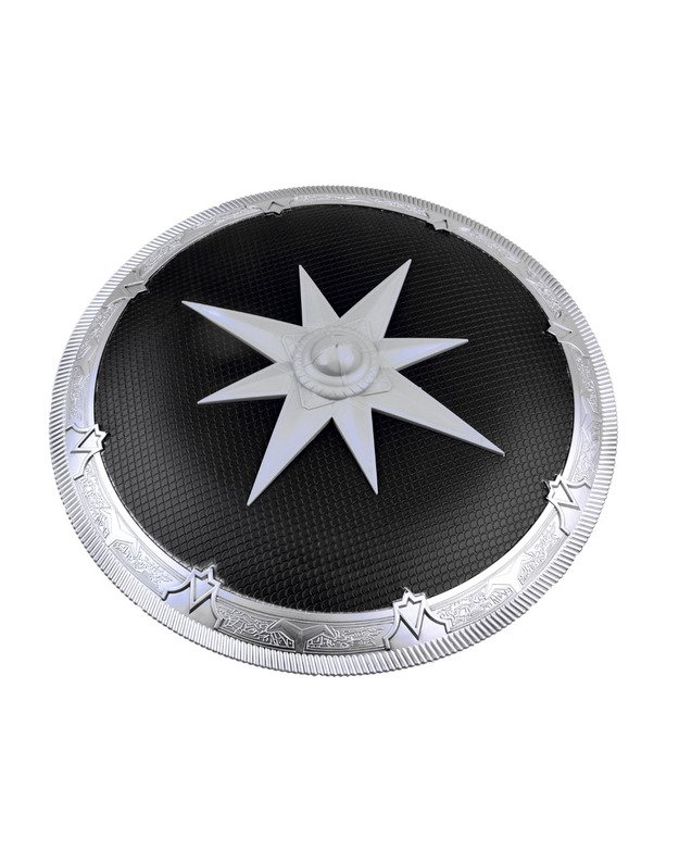 Kardai + apsauginis skydas riterio rinkinys