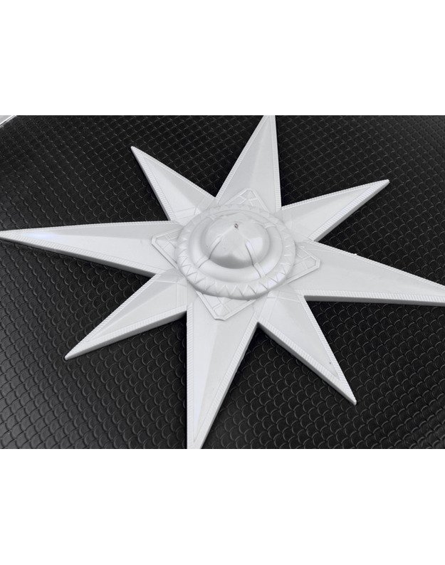 Kardai + apsauginis skydas riterio rinkinys