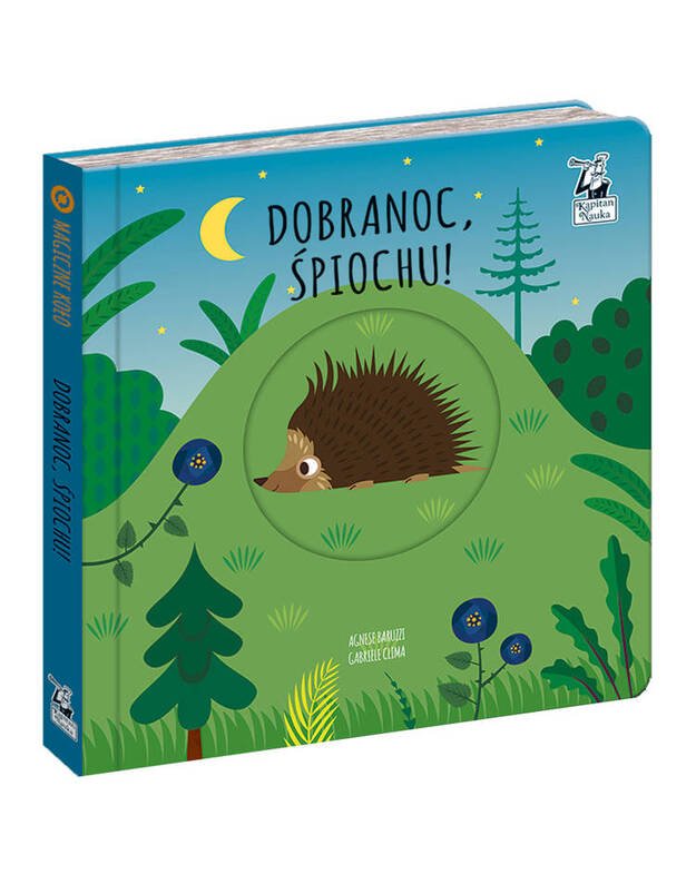 The book Goodnight sleeper magic wheel KS0437