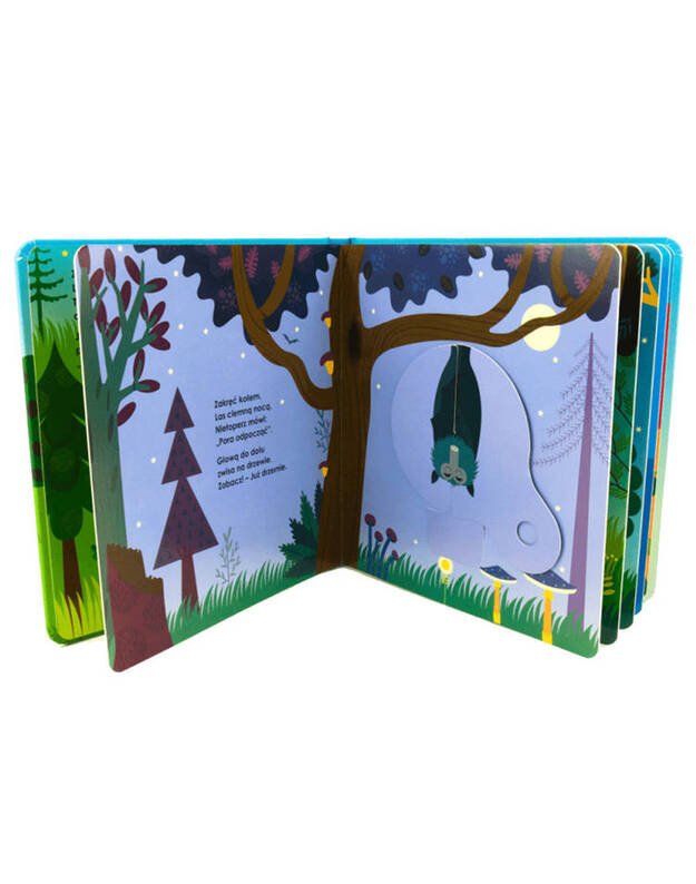 The book Goodnight sleeper magic wheel KS0437