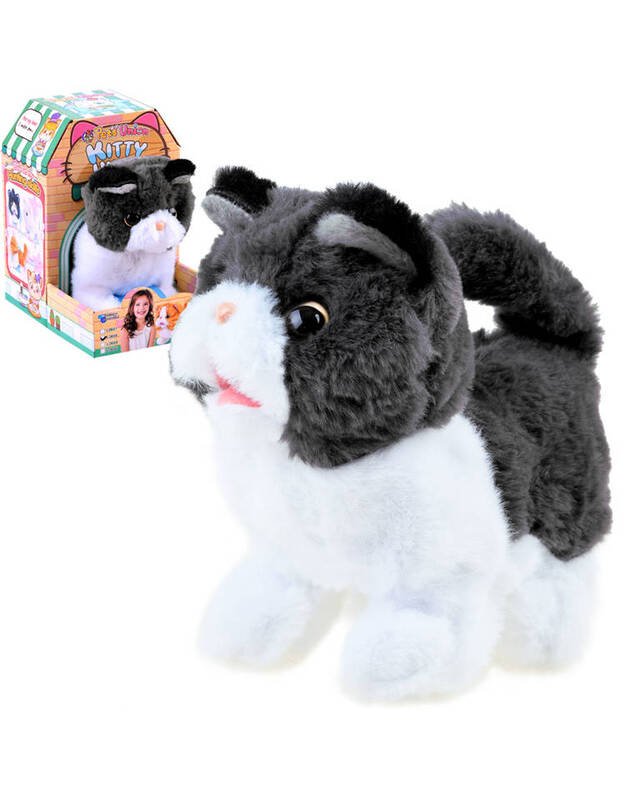 Interaktyvus kačiukas