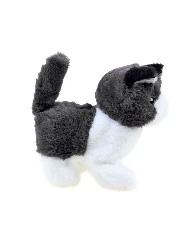 Interaktyvus kačiukas