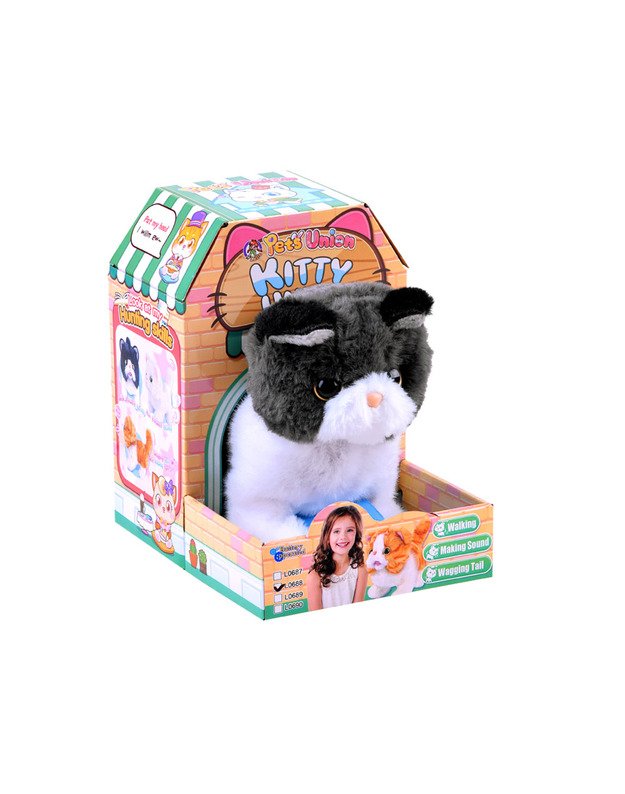 Interaktyvus kačiukas