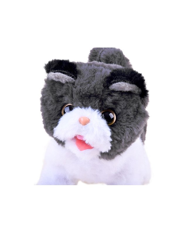 Interaktyvus kačiukas