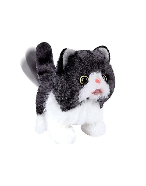 Interaktyvus kačiukas