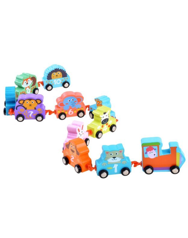 Mokomasis lokomotyvas  su transporto priemonėmis