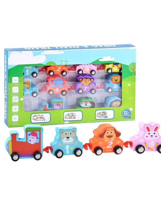 Mokomasis lokomotyvas  su transporto priemonėmis