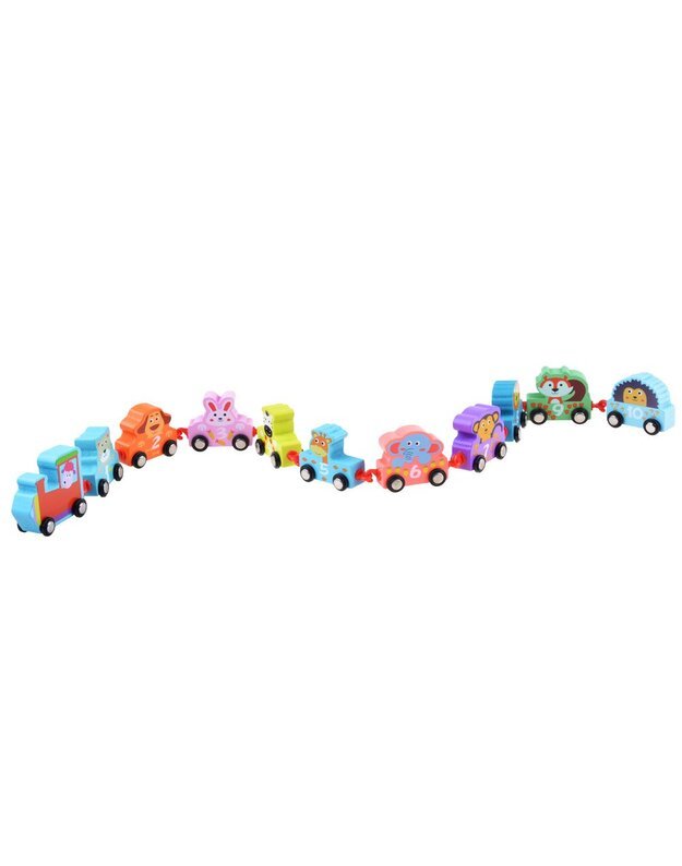 Mokomasis lokomotyvas  su transporto priemonėmis