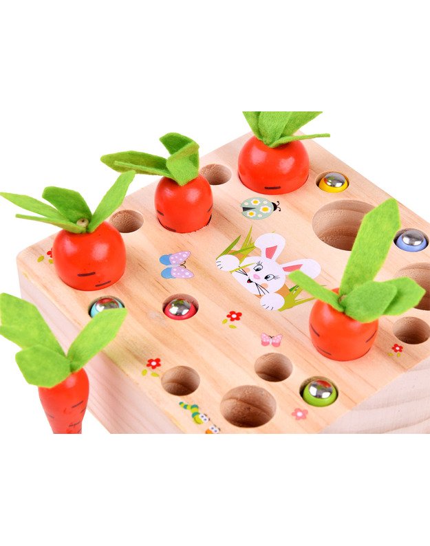 Medinis žaidimas „Morkos ir kirminėliai“