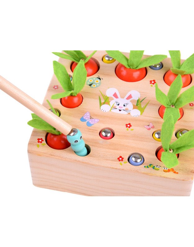 Medinis žaidimas „Morkos ir kirminėliai“